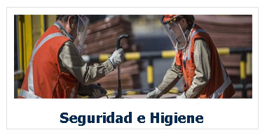 botonSeguridadehigiene